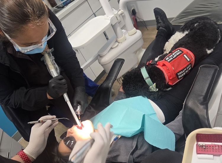 Full Mouth Restoration in Woodland Hills, CA: Local Practice Expands All-On-X Implant Options for Patients